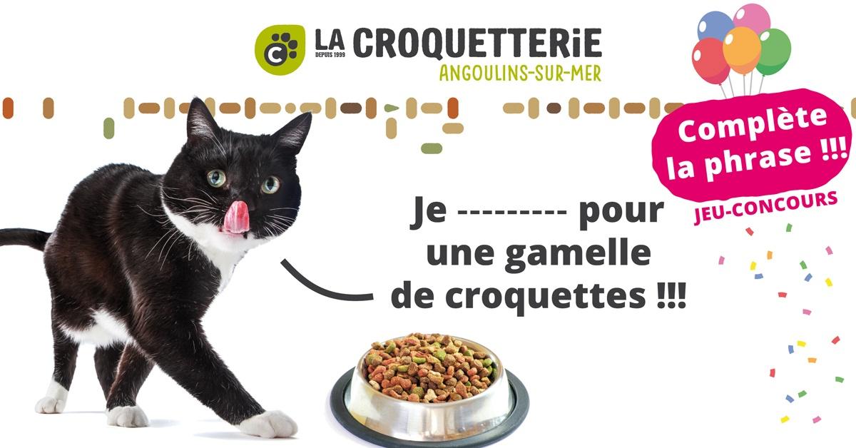 FB concours chat