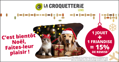 Lons - C'est bientôt Noël !