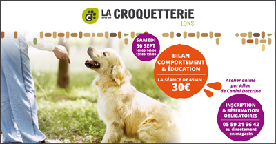 Lons - Bilan Comportement & Education