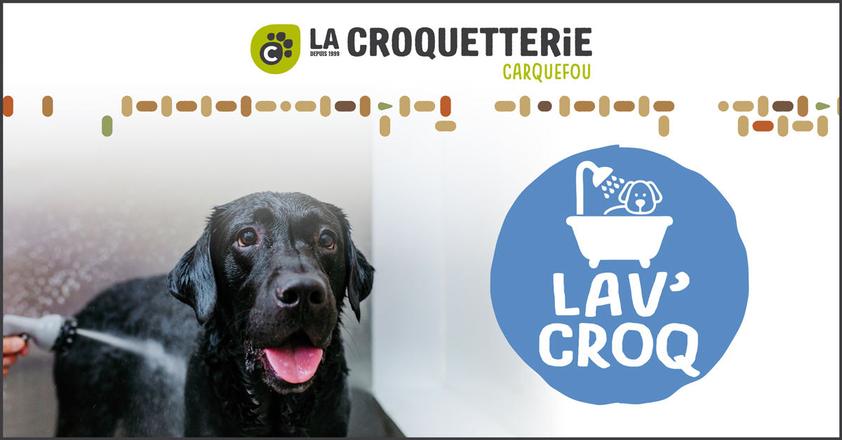 FB carquefou lav croc