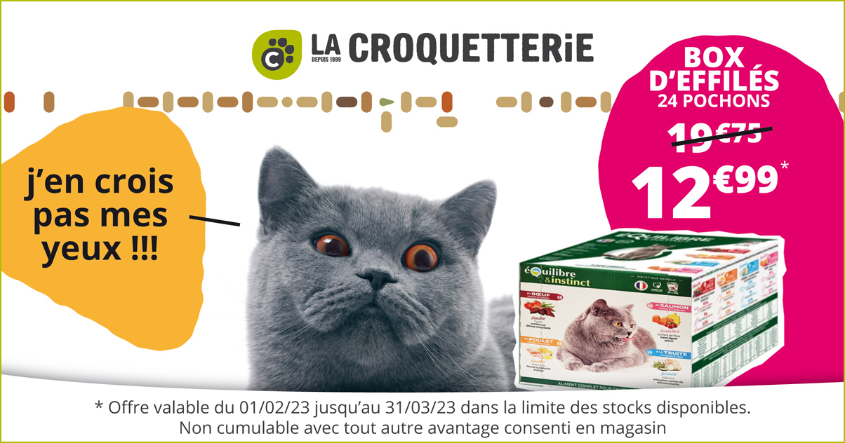 La Croquetterie mincs chat