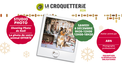 Agen - Shooting Photo de Noël samedi 6 décembre