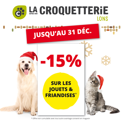 Lons - Promo sur les jouets et friandises en décembre