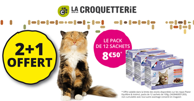 Offre spéciale pour les chats au mois de mars !