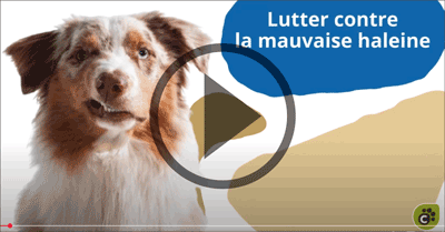 Lutter contre la Mauvaise Haleine