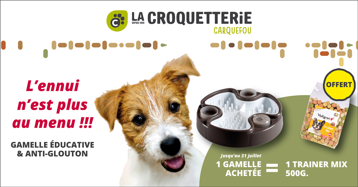 FB CARQUEFOU ANTI GLOUTON