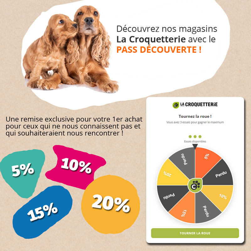 Découvrez nos magasins avec le PASS DÉCOUVERTE