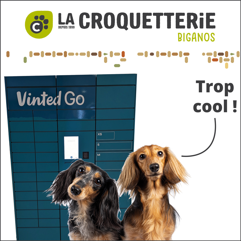 ACTU BIGANOS VINTEDGO 2