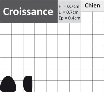 C ADA Croissance