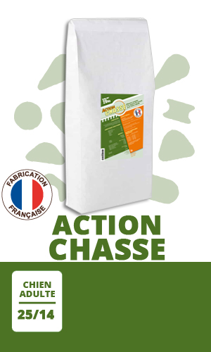 Croquette Chien Action Chasse