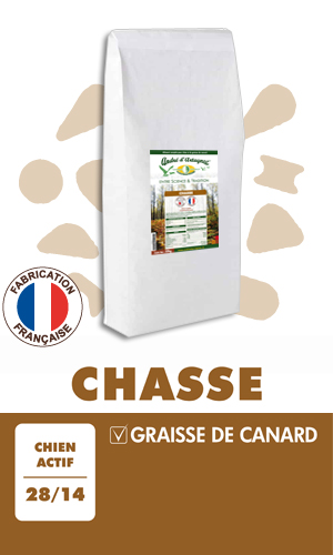 Croquette Andre d'Artagnac Chasse
