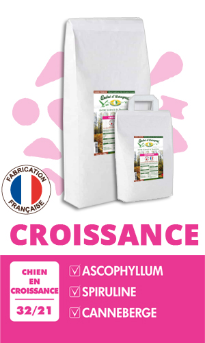 Croquette Chien Croissance André d'Artagnac