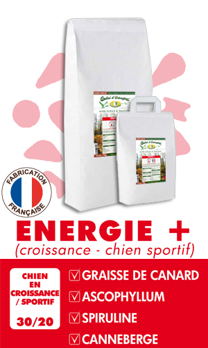 Croquette André d'Artagnac Energie+