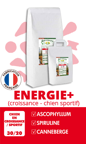 Croquette André d'Artagnac Energie+