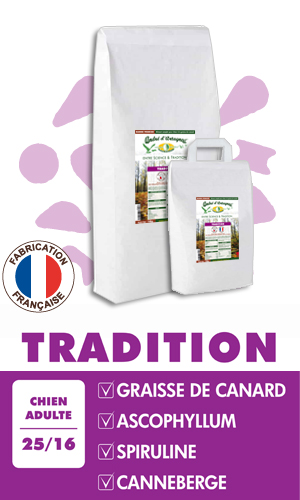 Croquette Chien Andre d'Artagnac tradition