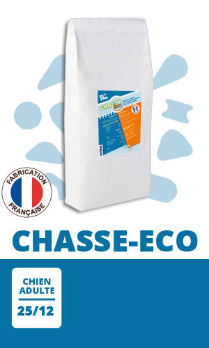 Croquette chien 20 KG