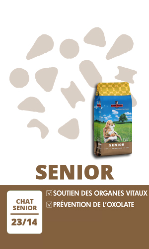 Casa Fera Chat Senior