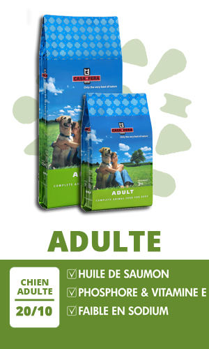 Croquettes Chien Casa Fera Adulte
