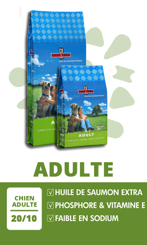 Croquettes Chien Casa Fera Adulte