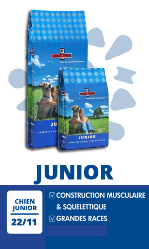 Croquettes Chien Casa Fera Junior