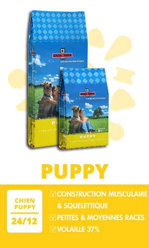 Croquette Chien Casa Fera Puppy