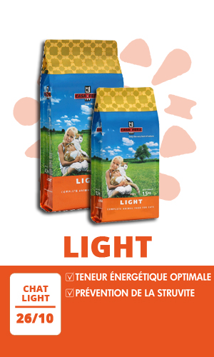 Casa Fera Chat Light