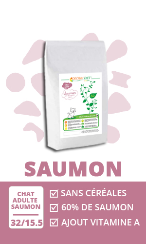 Croquettes sans céréales chat saumon Décisiv'Diet