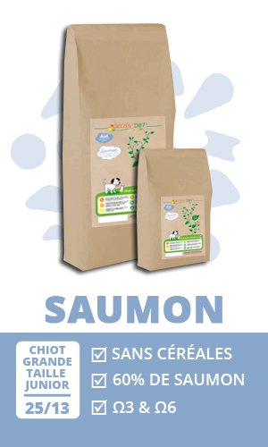 Croquettes sans céréales Chien Junior Décisiv'Diet