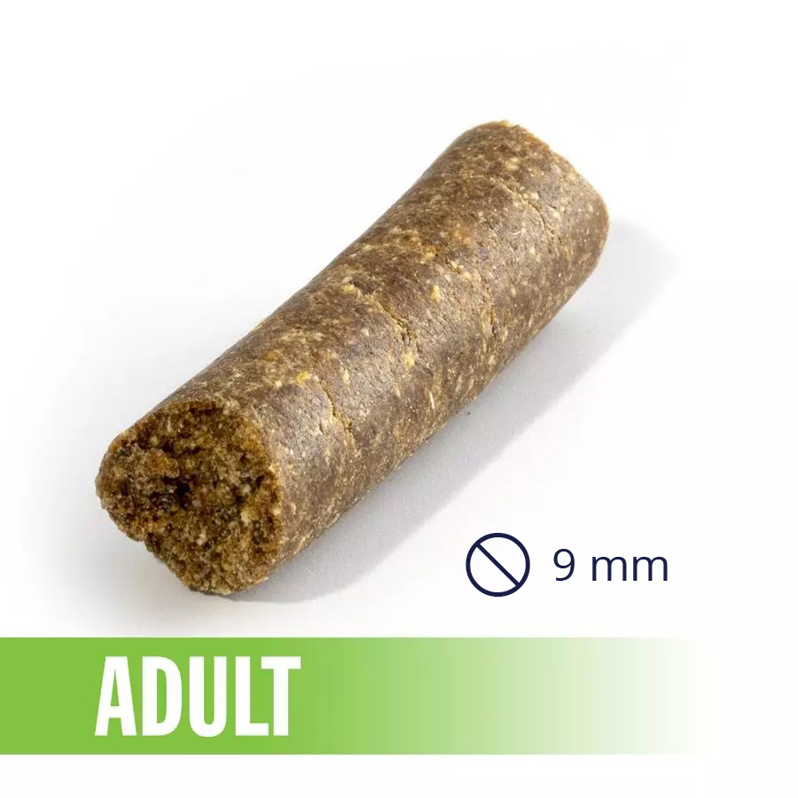croquette Impress your dog adult