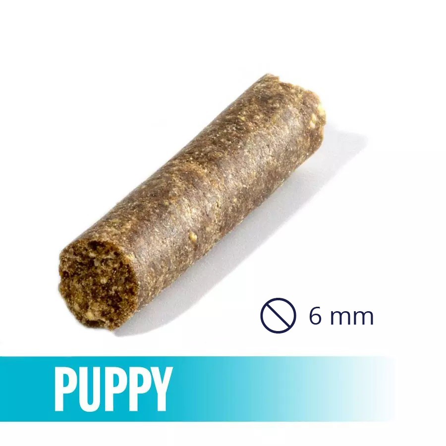 croquette Impress your dog puppy