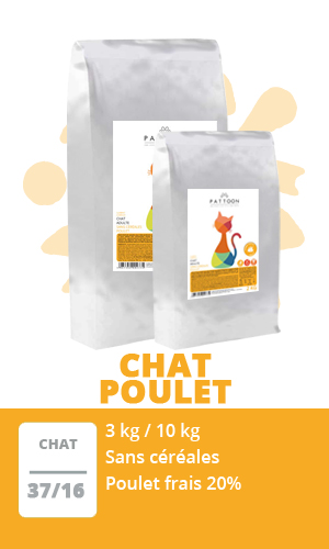 Croquette Chat Sans céréales- Pattoon - Poulet