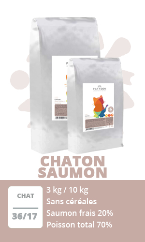 PATTOON CHAT STERILISE SAUMON