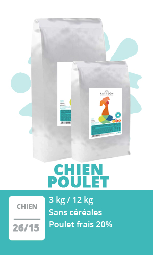 Croquettes Chien sans céréales PATTOON Poulet