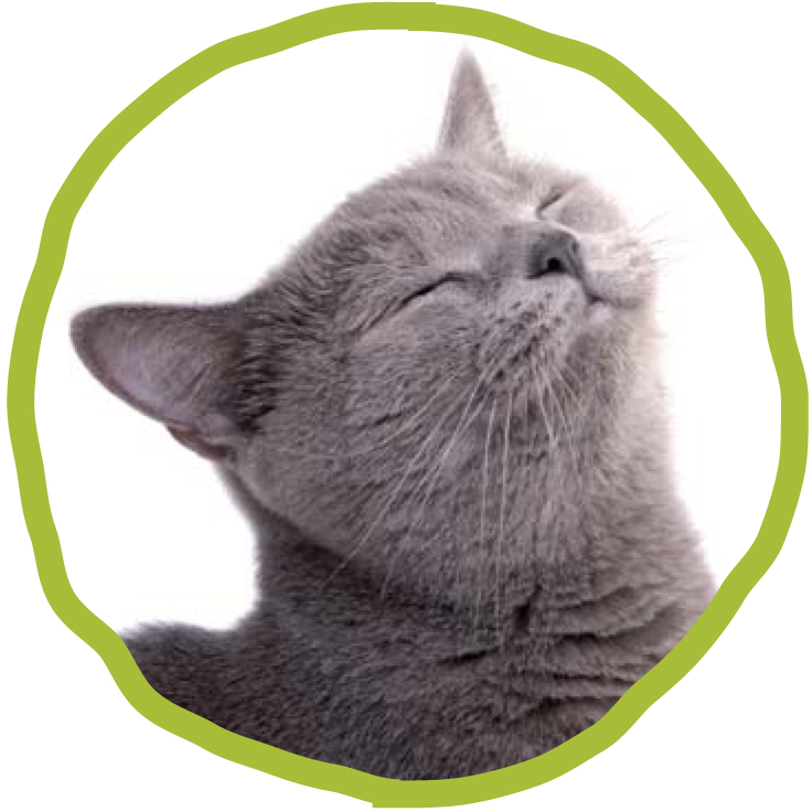 CHATS