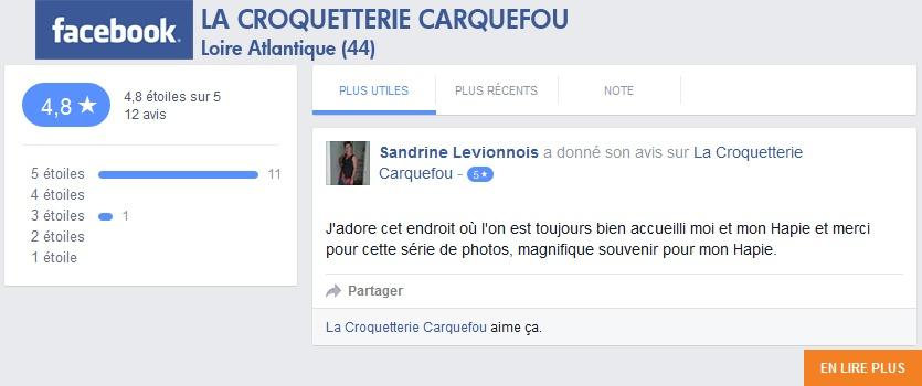 avis client carquefou