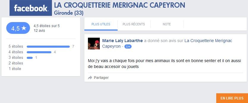 avis client merignac capeyron