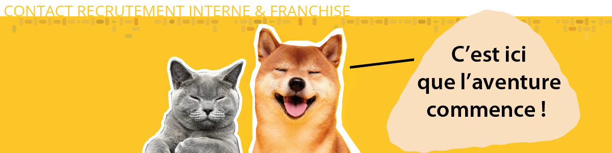 Banner Formulaire Franchise4