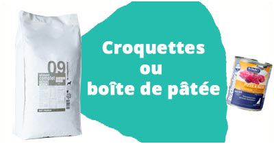 Chien alimentation sèche ou humide ?