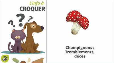 Les aliments dangereux