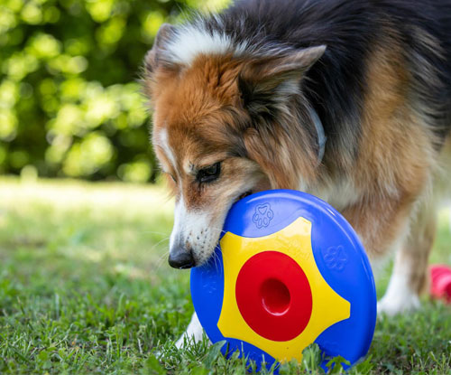 Biogance • Frisbee bleu pour chien