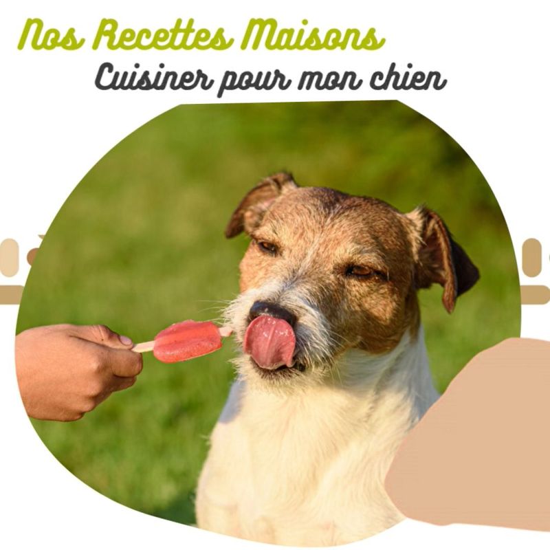 ASTUCES : Recette maison Friandise glacée
